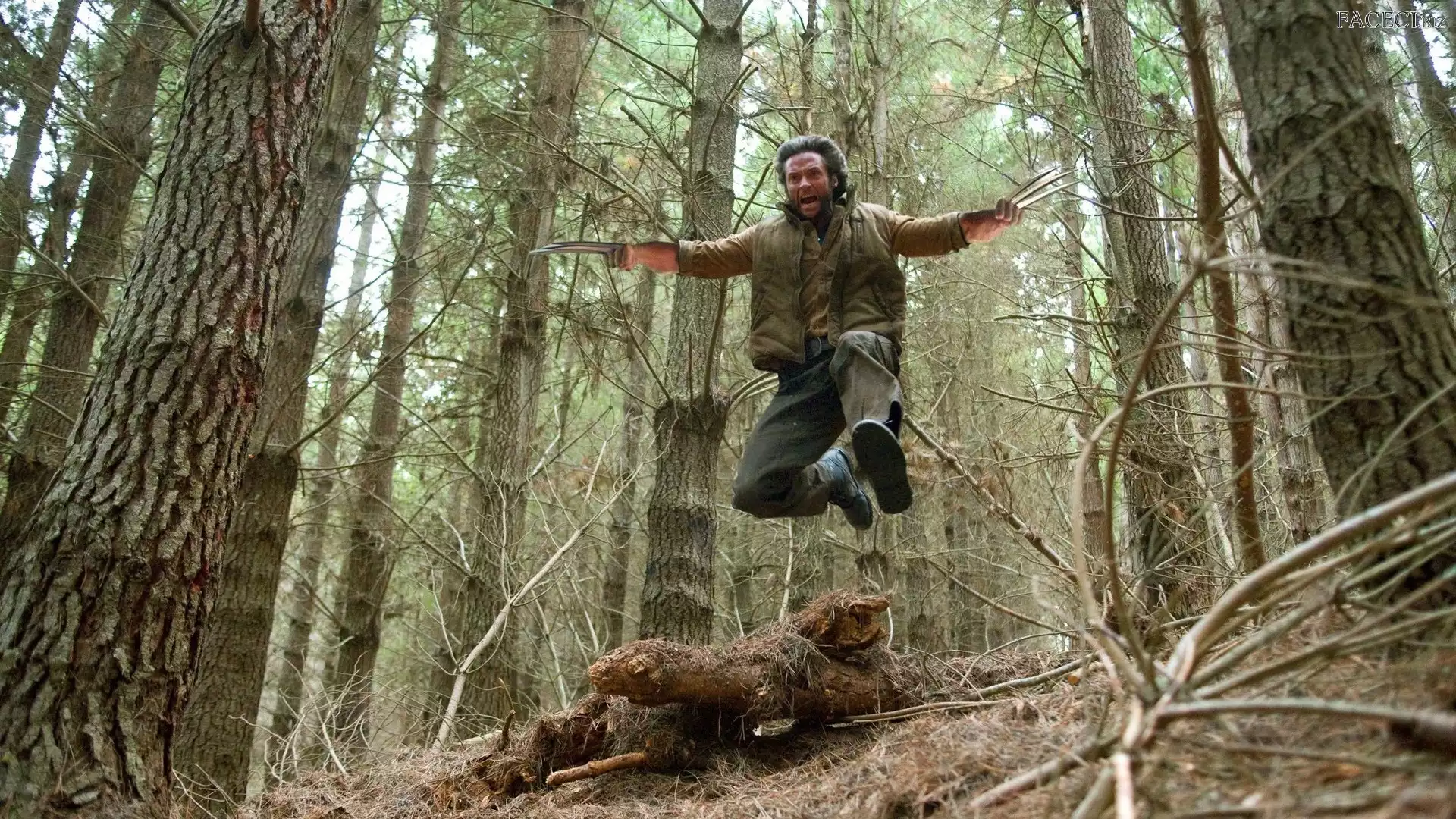 Skok, Las, Mężczyzna